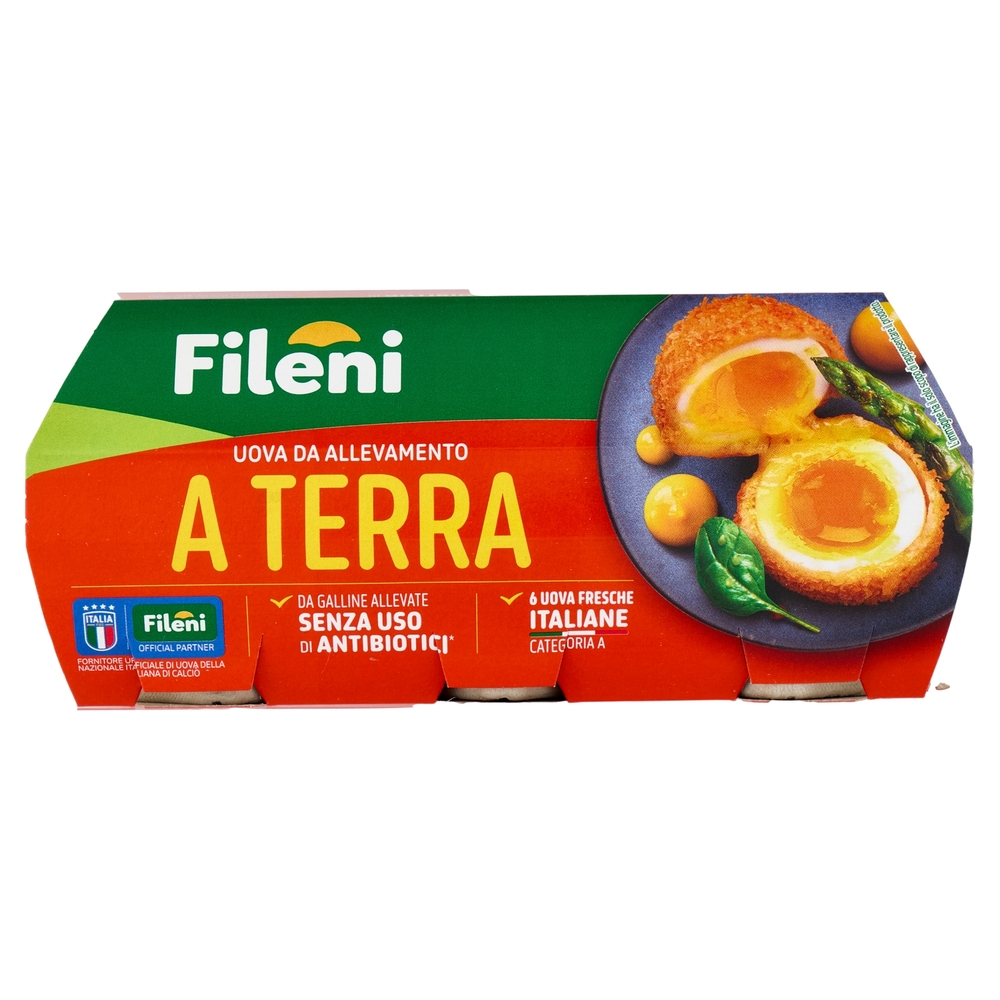 Fileni 6 Uova Fresche Italiane da allevamento a Terra 320 g